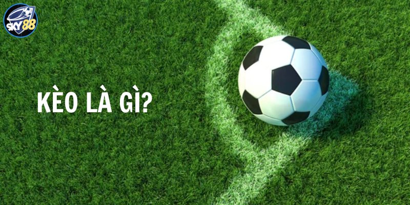 Một thư viện game phong phú thuộc hàng Sum99 - Sum99