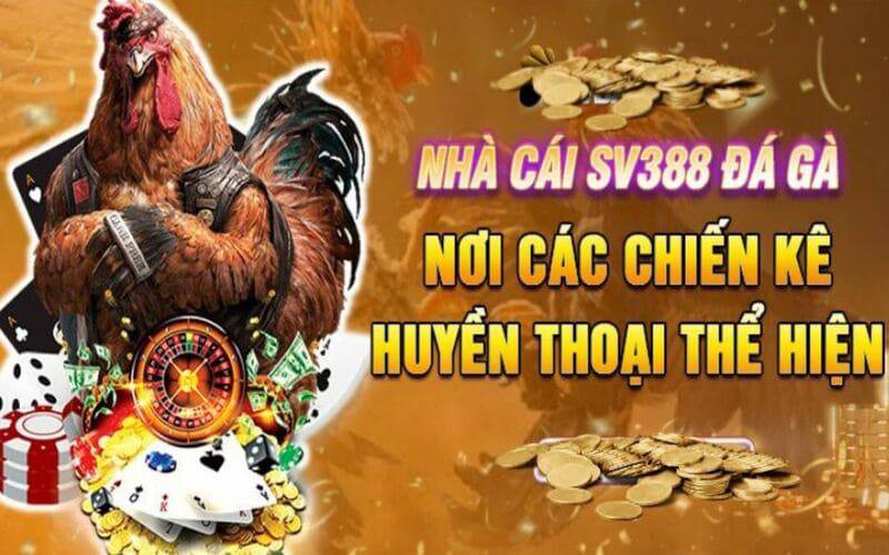 Cách tham gia trò chơi bắn súng cấp độ Ok33 và nhận phần thưởng - Ok33
