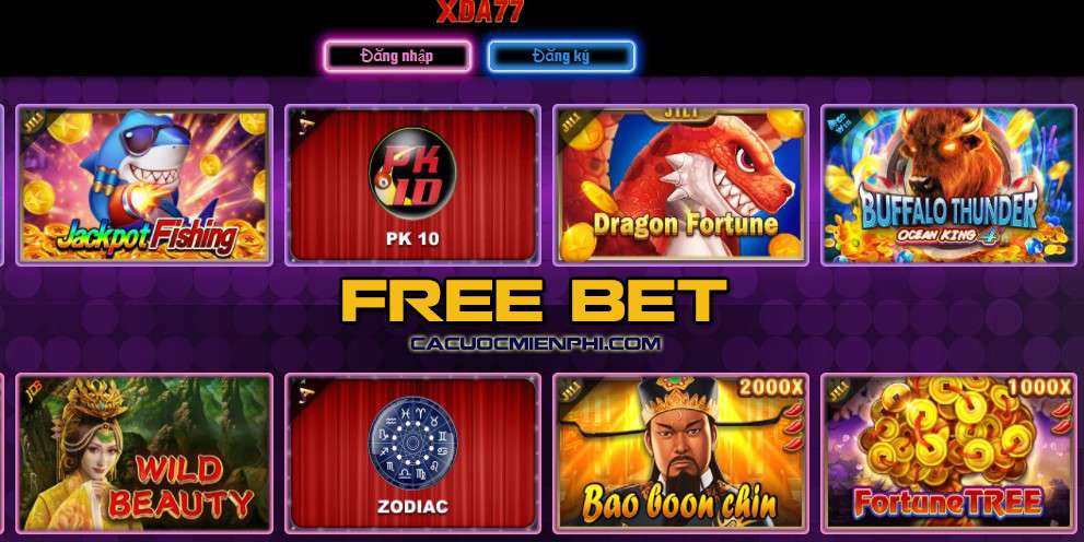 777King hoạt động ở đó như thế nào? - 777King