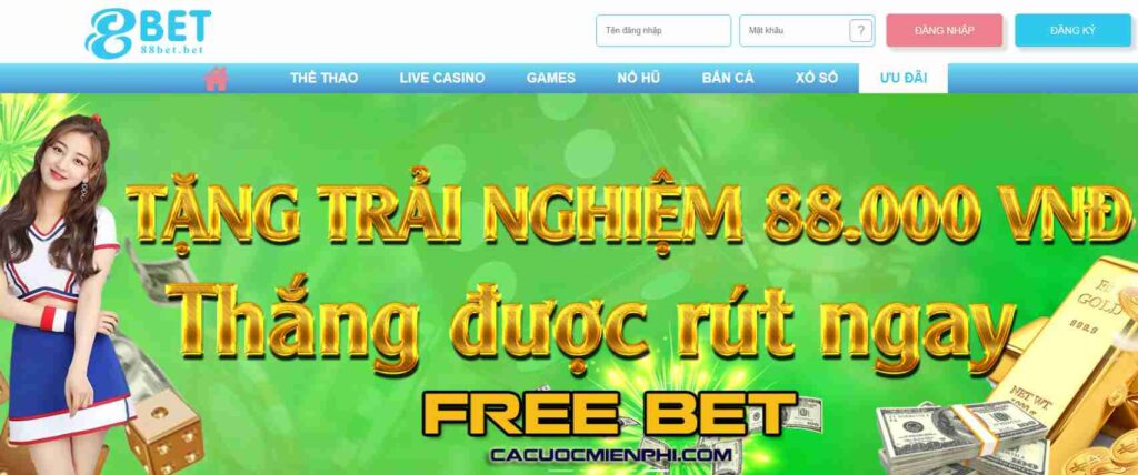Dưới đây là một số thông báo lỗi xuất hiện khi đăng nhập vào tài khoản Onbet - Onbet