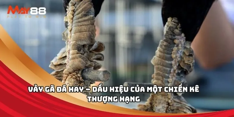 Cài đặt trò chơi đầy đủ Viu88 - Viu88
