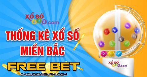 Cần phải hiểu rõ các quy định của 1Xbet - 1Xbet