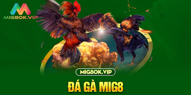 Tobet Gaming đang tặng các thành viên của mình phần thưởng cá cược miễn phí trị giá 150000 - Tobet