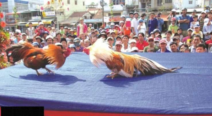 Ffok là nguồn cung cấp trò chơi và giải trí - Ffok