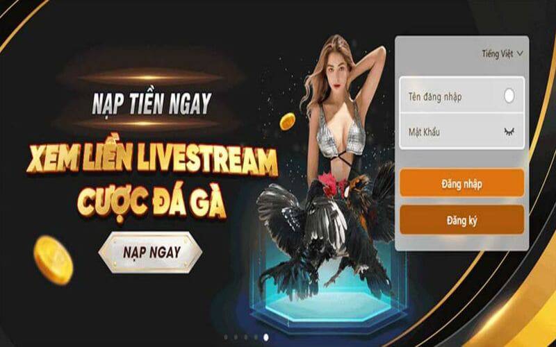 King33 độc quyền cung cấp hệ thống khuyến mãi mạnh mẽ - King33