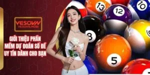 Mẫu đơn cá cược trực tuyến Ds99 - Ds99
