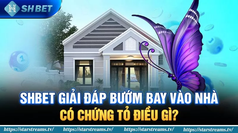 Nhà bán lẻ trực tuyến uy tín đạt chuẩn Winwin này cung cấp nhiều ưu đãi hấp dẫn - Winwin