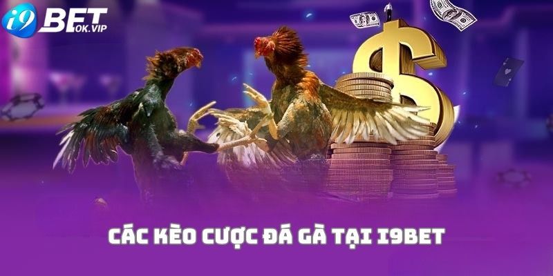 Bạn có thể tìm thông tin về kết quả các trận đấu bóng đá Pháp trên trang web Ev8 - Ev8