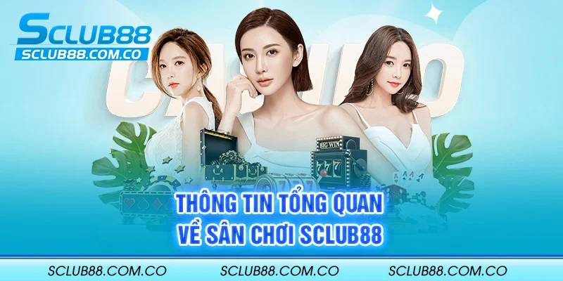 Tổng quan ngắn gọn về công ty game uy tín đạt chuẩn Ffok này - Ffok