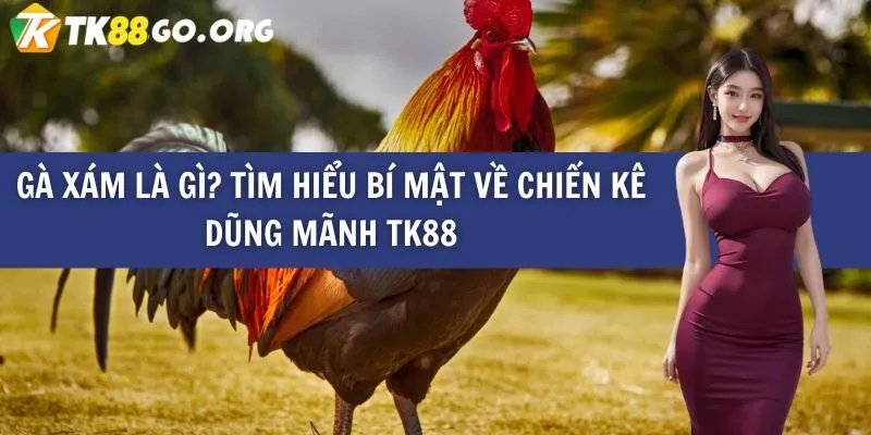 Chiến dịch quảng bá 130Bet đã thu hút 88000 lượt xem! - 130Bet