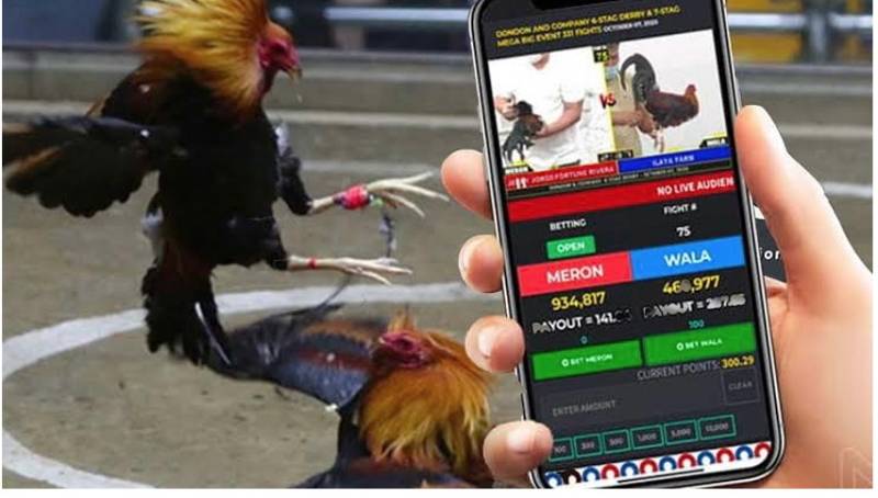 Hệ thống khuyến mãi P3bet - P3bet