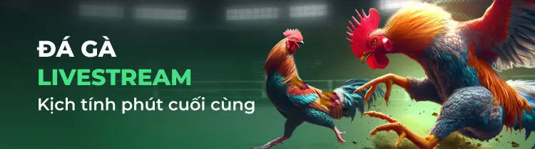 8Day và thông tin cơ bản về trang web trò chơi này - 8Day