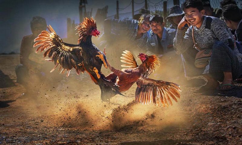 Điều gì làm cho thư viện game được xếp hạng Hb88 trở nên đặc biệt đến vậy? - Hb88